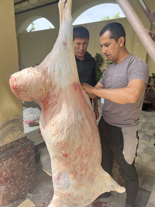 Эҳсон ва маросимлар учун қўйлар, қассоб хизмати