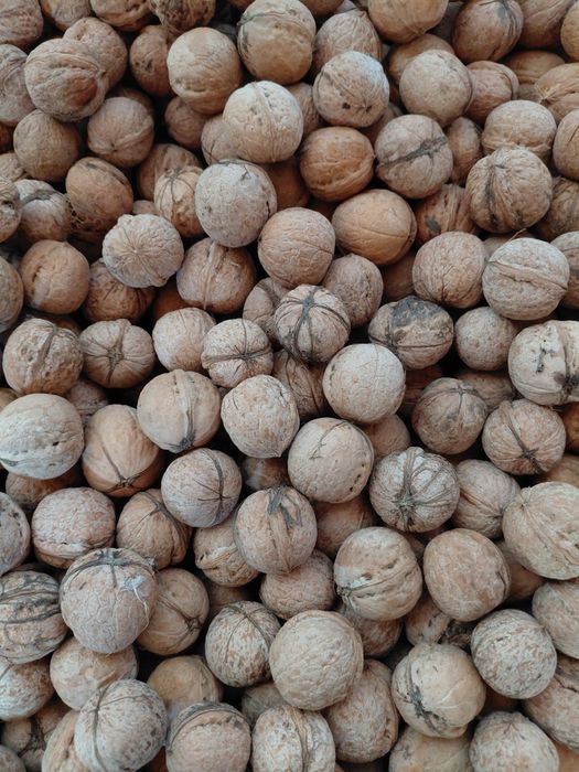 Жаңғақ бар екі қап