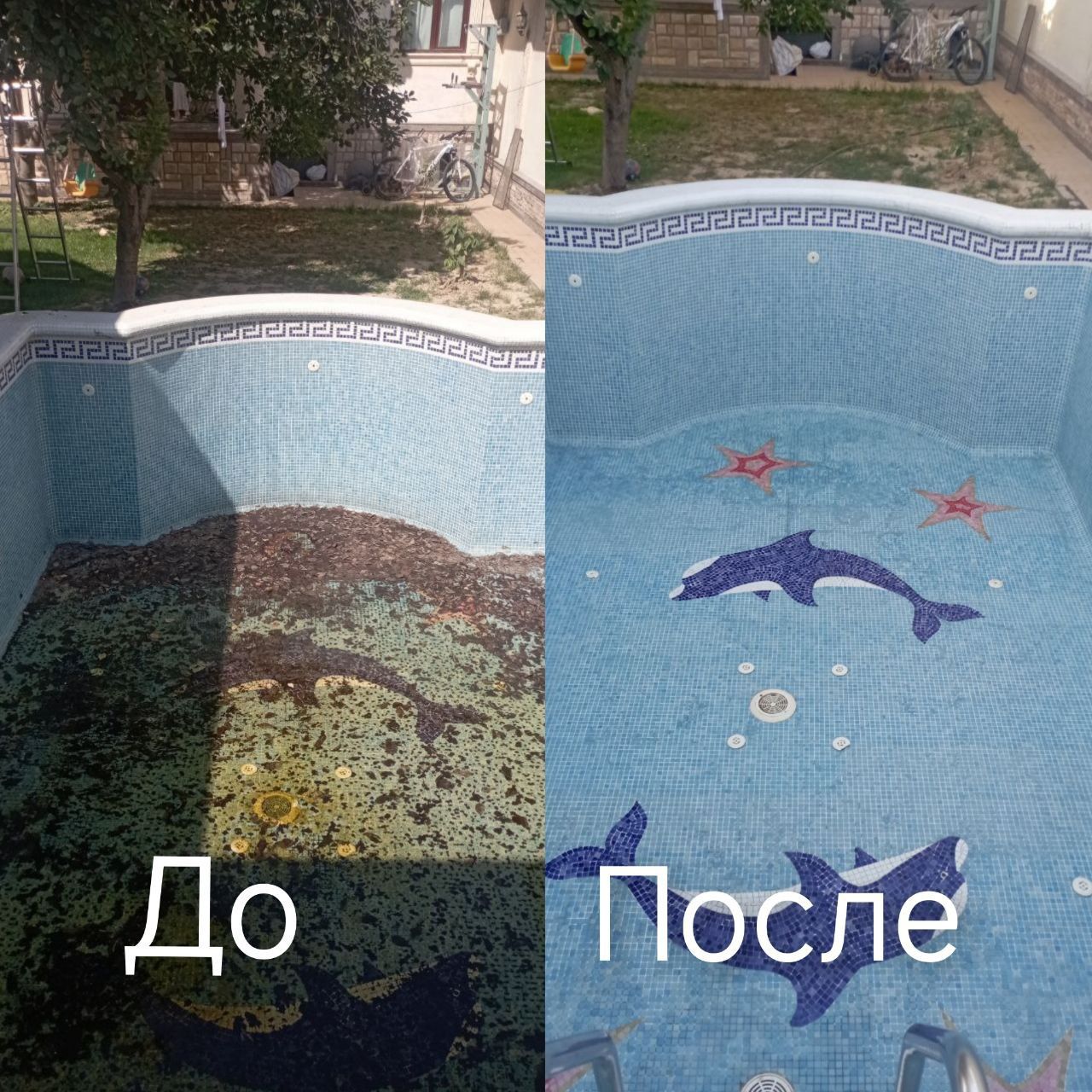 Клининг хизмати, фасад ювиш, паталог тозалаш, брусчатка ювиш, бассейн