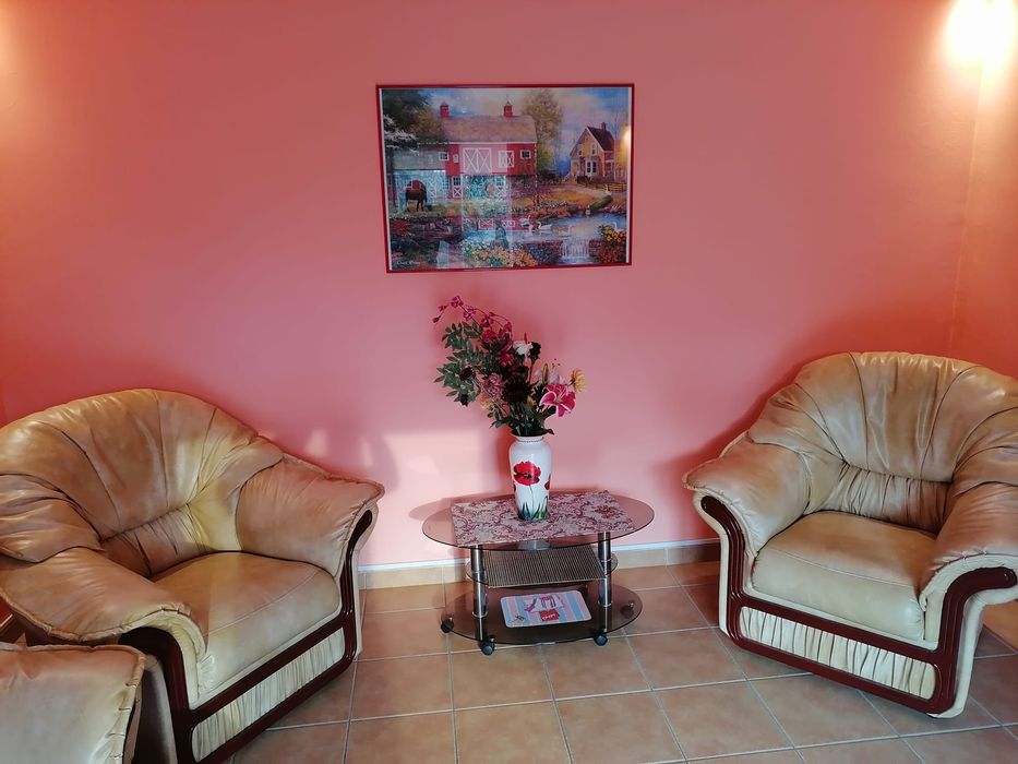 Fotolii din piele ecologică in stare foarte buna