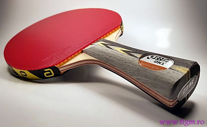 Paleta profesionala tenis de masa (ping pong) dhs/andro
