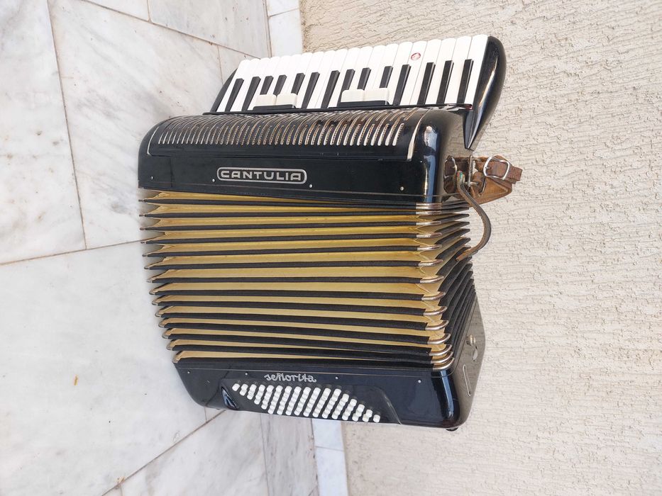 Vand acordeon Cantulia stare buna