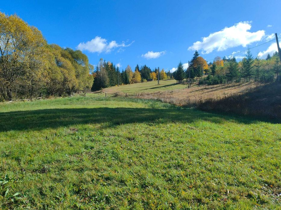 Teren de vanzare intravilan Plaiu Sarului