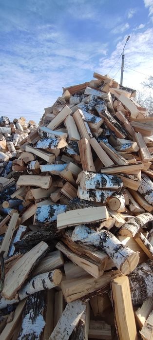 Продам Дрова Колотые кубами.