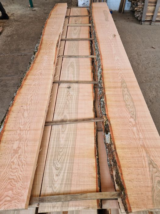 Vindem cherestea uscata de fag, tei, frasin, salcam