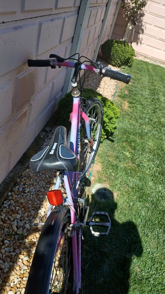 Bicicleta Raleigh