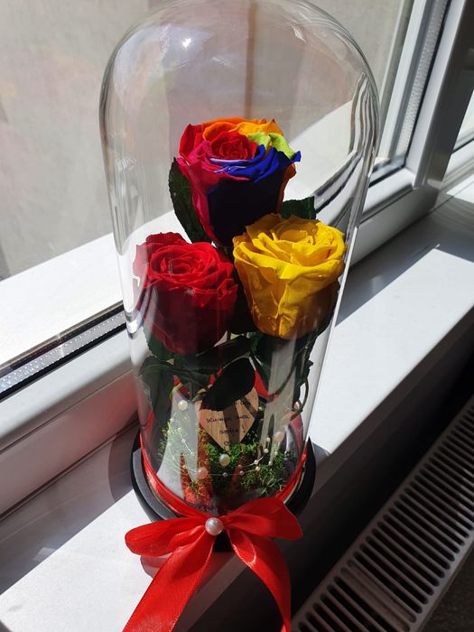 Trandafir galben criogenat conservat in cupola de sticla