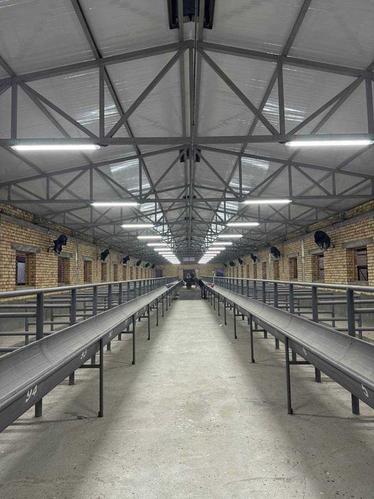 Продается Ферма действующая в Районе Босув SH83