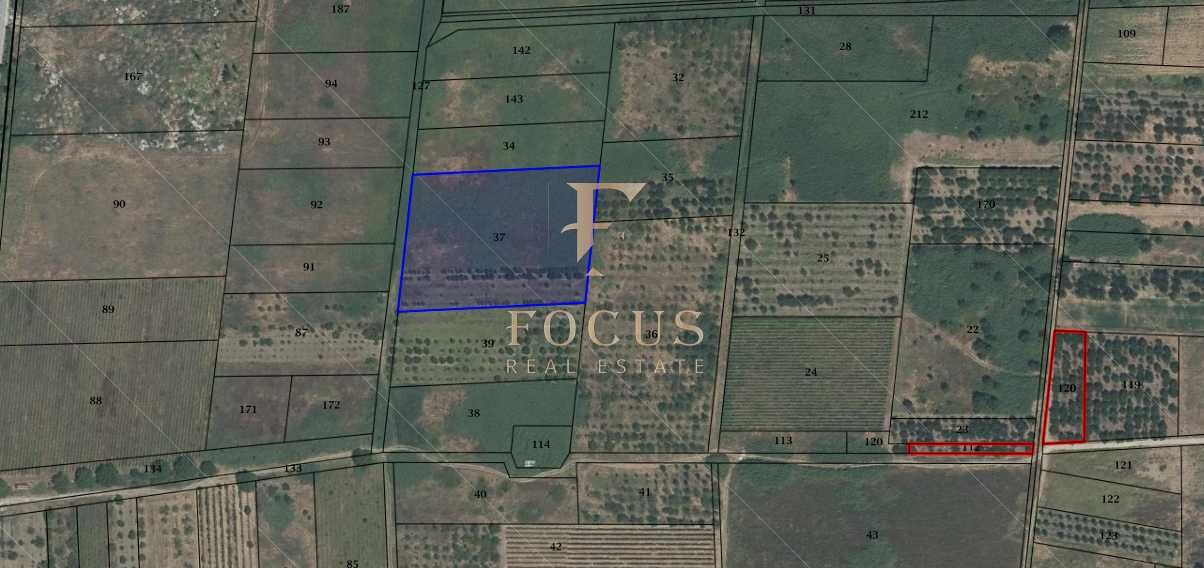 Продава се Земеделски имот в с. Белащица, Област Пловдив -  кв.м за 57267 €/дка - Снимка #1