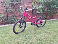 Bicicleta Roz Devron 20"
