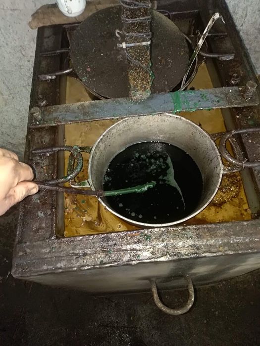 Butasi vita de vie anul 2 și anul 3