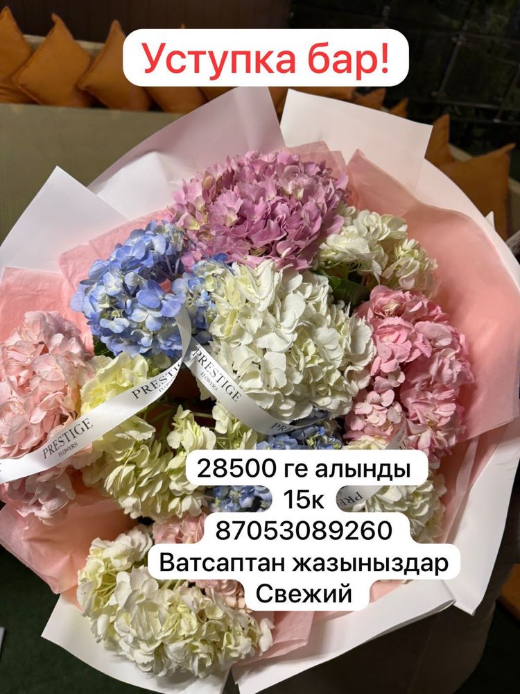 Цветы гартензий 11шт