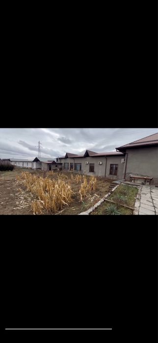 Arenda dacha va Slad va bo’sh yer ijara