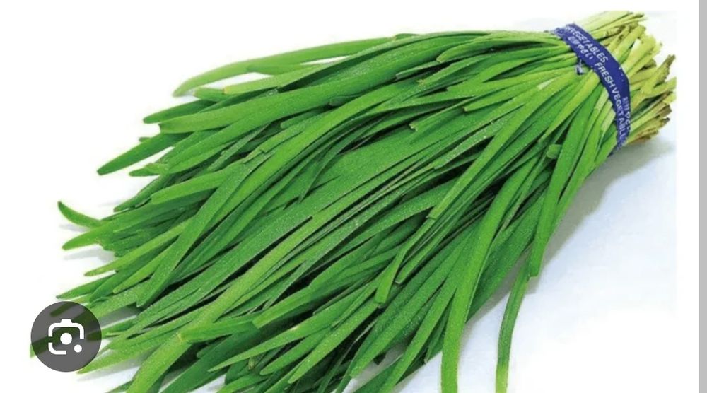 Продам джусай с огорода