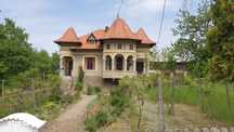 Casa stil Conac | Casa de Vacanta, Mioveni, Arges