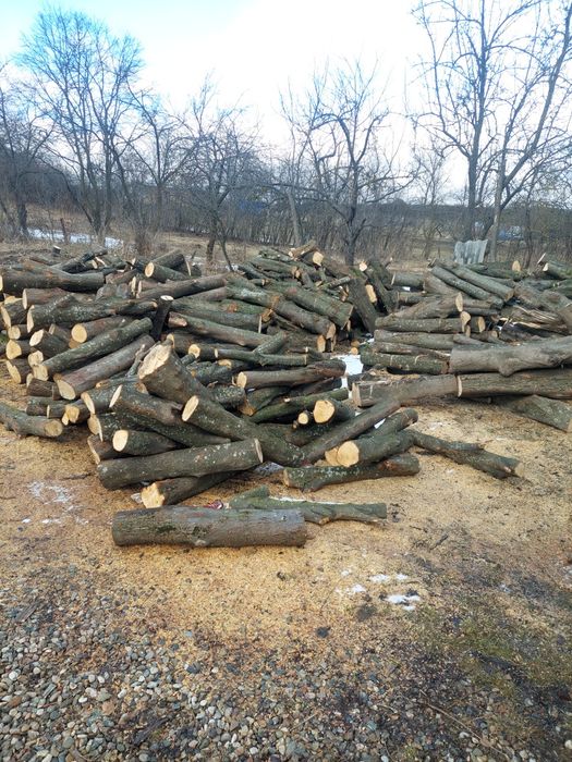 Lemn de foc jud cluj