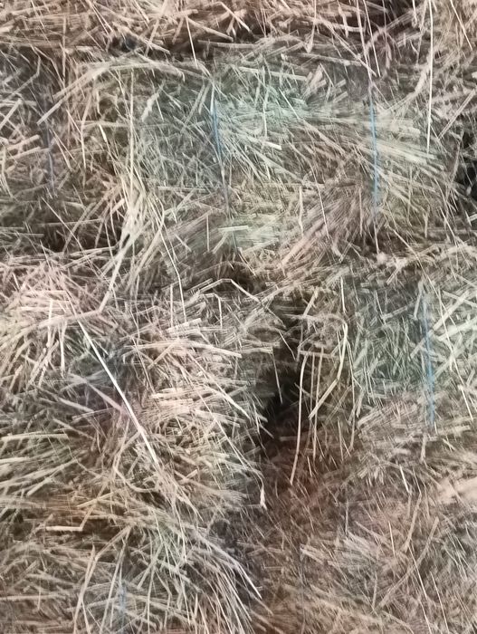 Baloți de otavă și de fân!