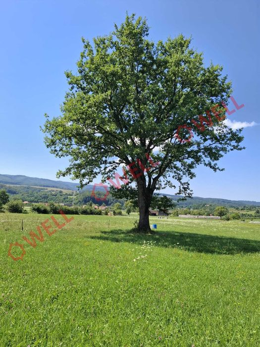De vânzare teren intravilan de 7.600 m² situat în Sovata