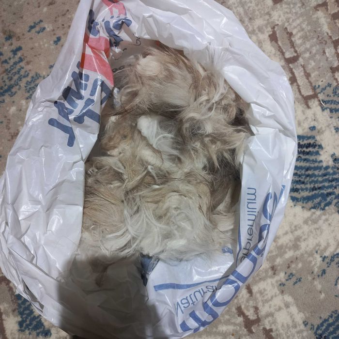 Шерсть кошачья на продажу