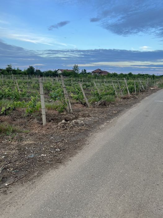 Teren constructie intravilan !