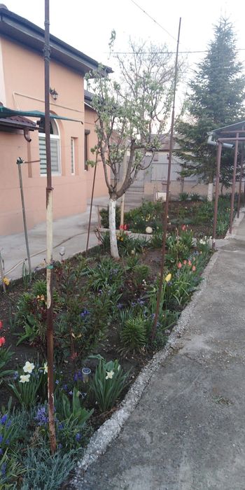 Direct proprietar / vând casa în Călărași