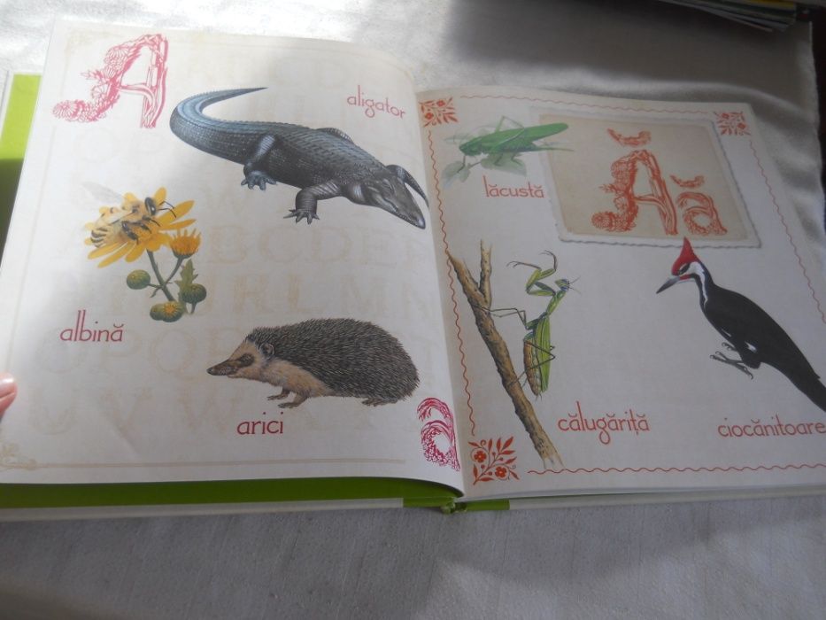 Alfabetul Cu Animale, ed. Girasol, Noua, cartonata,2014