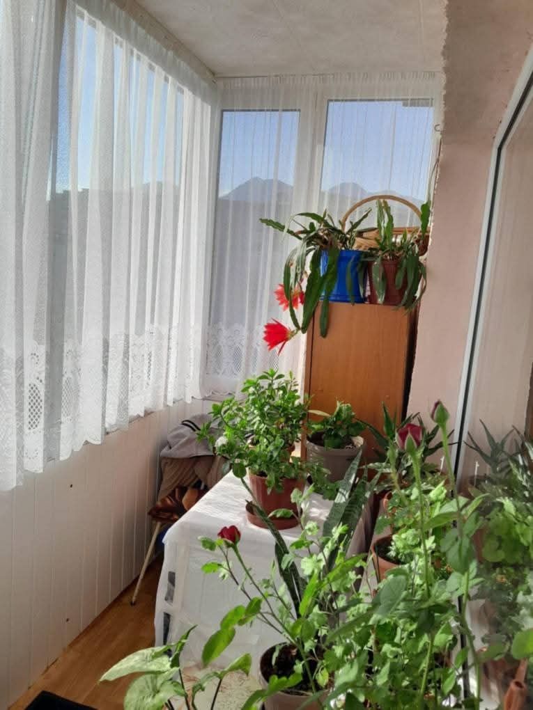 Apartament 2 camere, Noua, strada Prunului