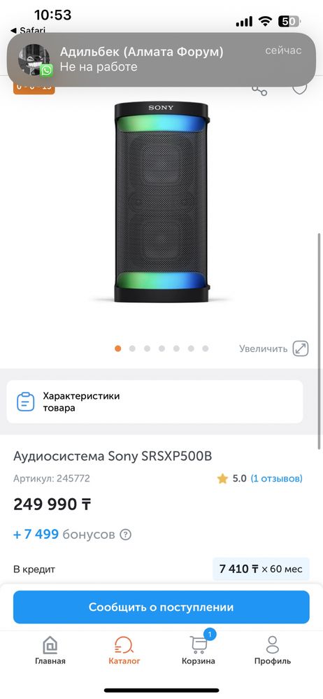 Портативная аудиосистема Sony