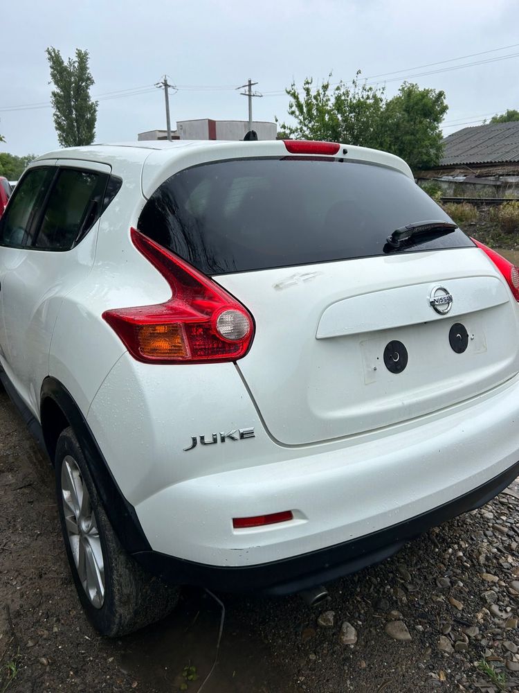 Punte spate Nissan Juke 2012