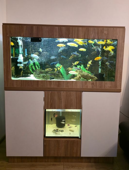 Acvariu pesti 300 litri