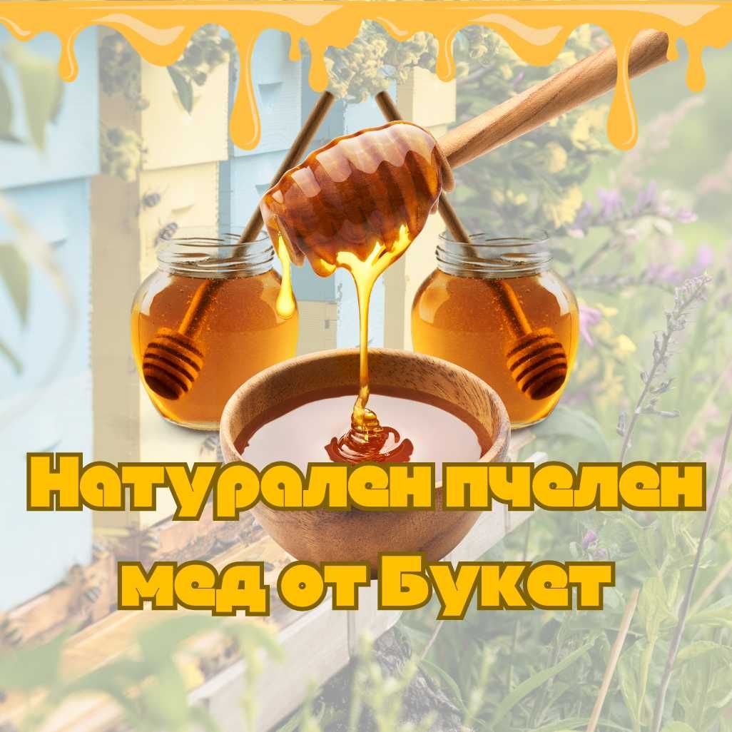 Продавам натурален пчелен мед от букет - реколта 2024 г.