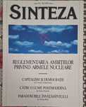 SINTEZA 30 de bucati