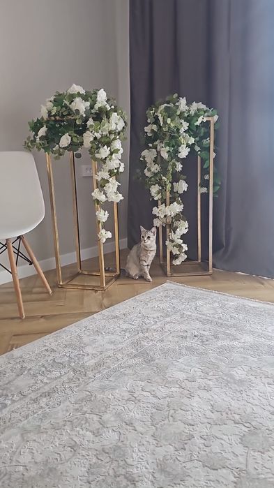 Отдам в хорошие руки