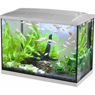 Аквариум Hailea k60