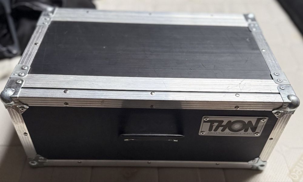 Case profesional Thon