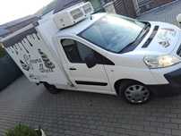 Autoutilitara frigorifica Fiat Scudo