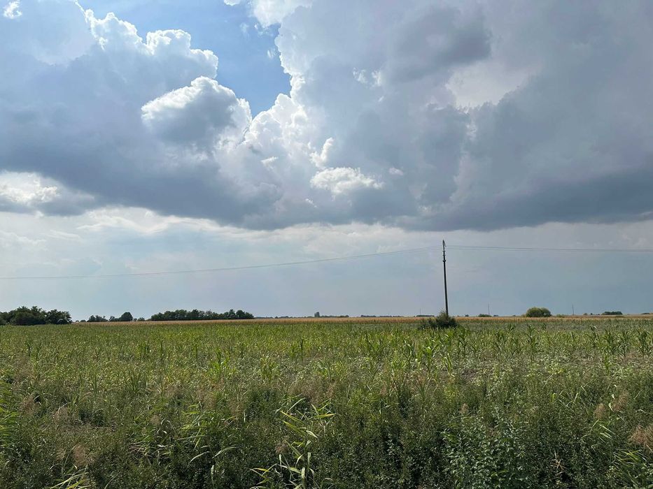 Teren 7.500 mp de închiriat în Sântion – zonă industrială