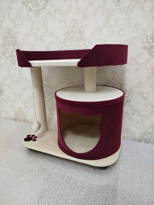 Кашачи доммики сотилади