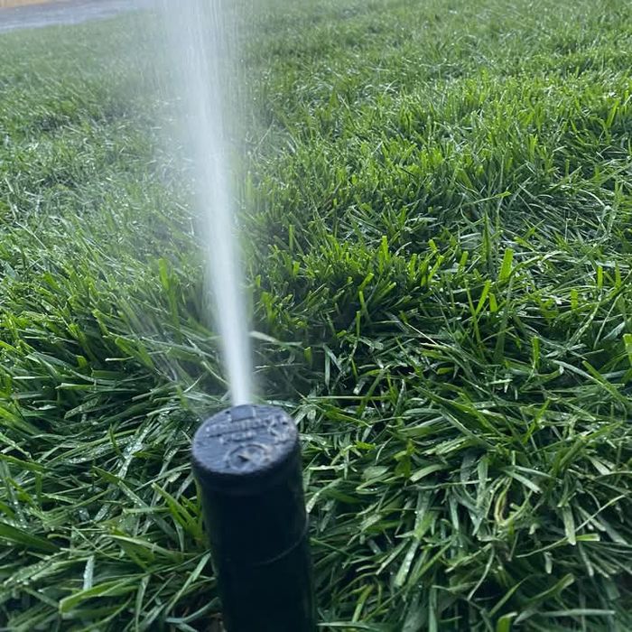 Gazon rulou si sistem de irigatii