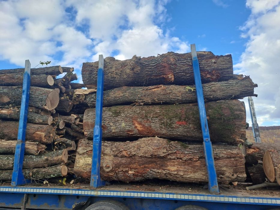 Vând lemn de foc fag+carpen+gorun