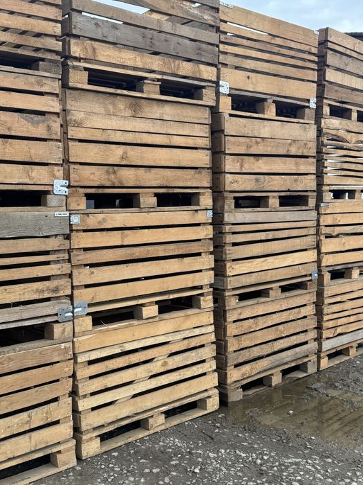 Lazi pentru depozitat cartofi