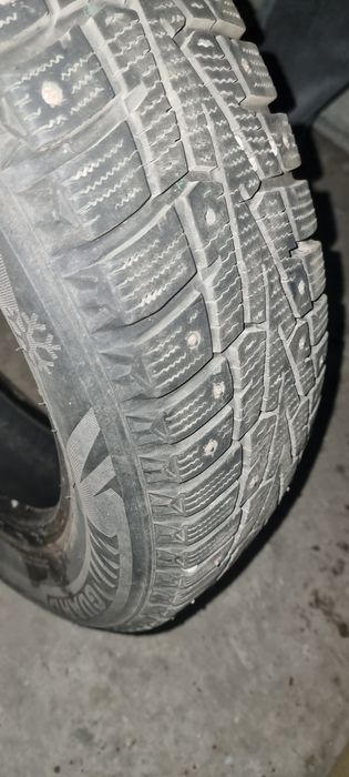 Nexen Winguard Winspike