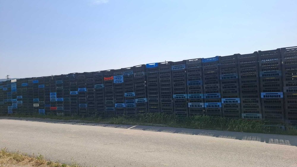 Продава Каси за кисело мляко