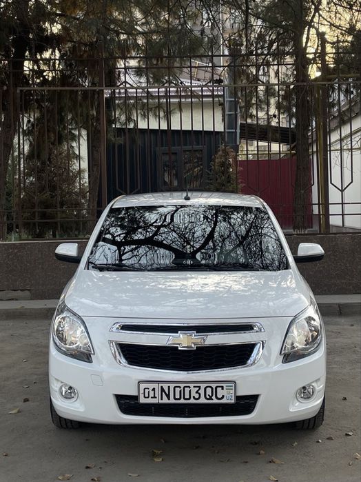 Cobalt Arendaga beriladi