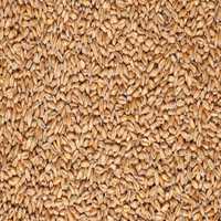 Пшеница в мешках