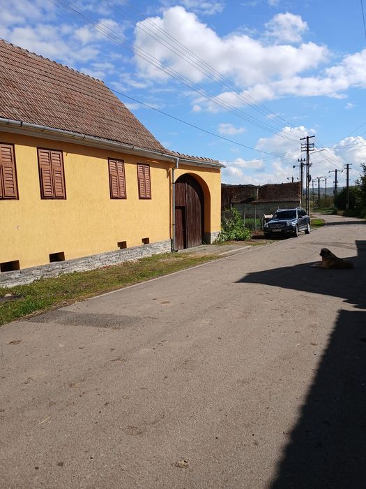 Vanzare casa satul idilic romanesc Sangatin,