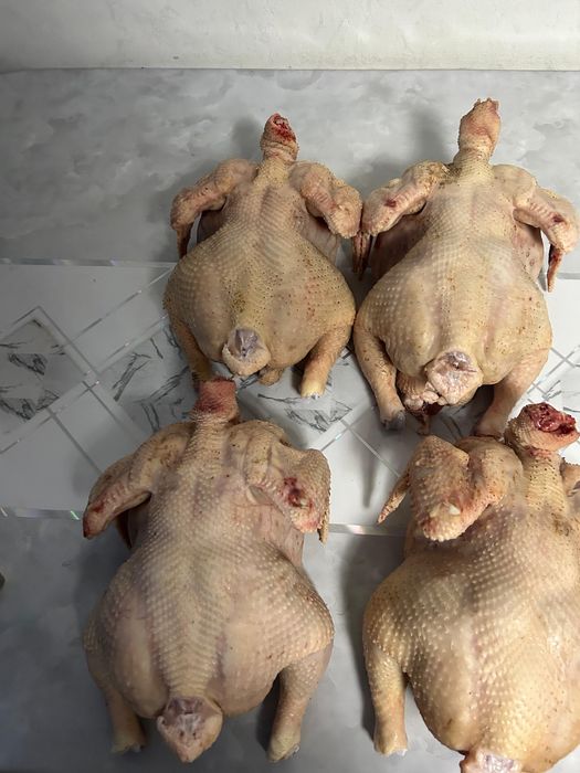 Продам мясо домашних курей