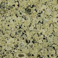 Granit Verdi 60 x 60 x 2 cm Lustruit