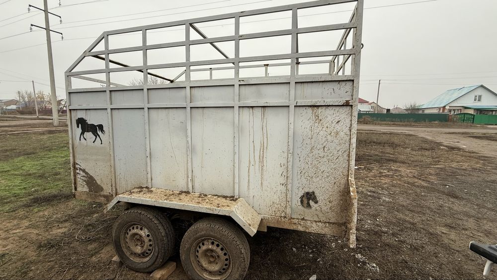 Прицеп коневоз сатылады