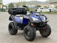 Vand Atv Adly 320 cc IMPORT GERMANIA